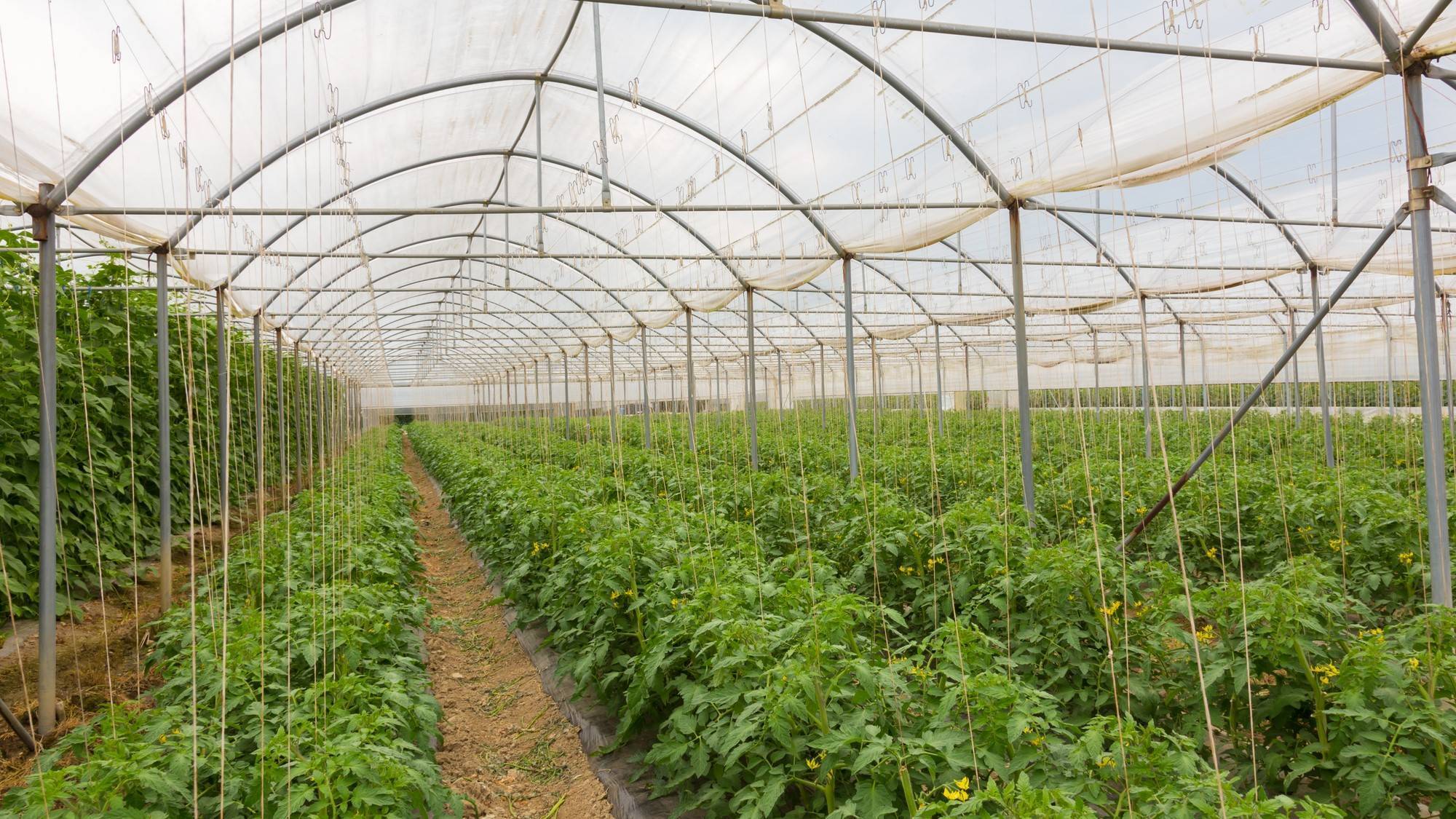 naturplas Agroclima Adapt|naturplas Agroclima Adapt|naturplas Agroclima Adapt